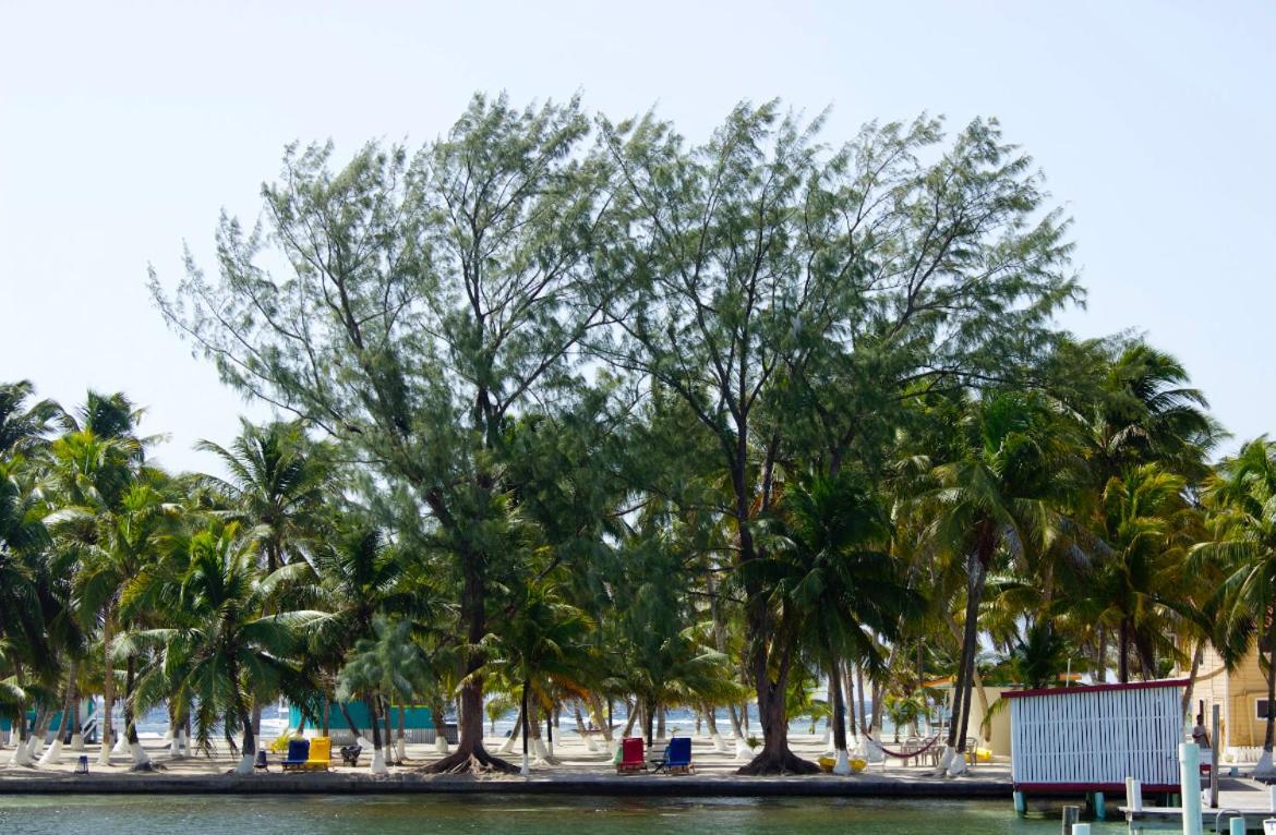Blue Marlin Beach Resort Dangriga Zewnętrze zdjęcie