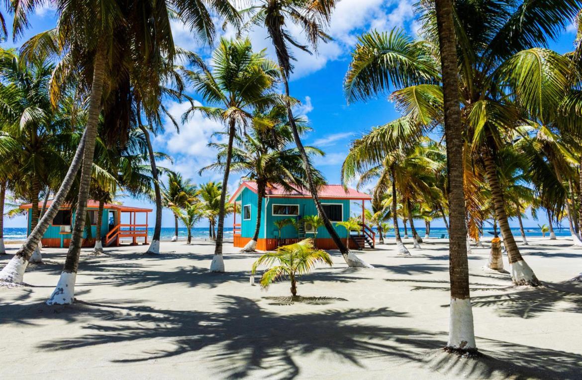 Blue Marlin Beach Resort Dangriga Zewnętrze zdjęcie
