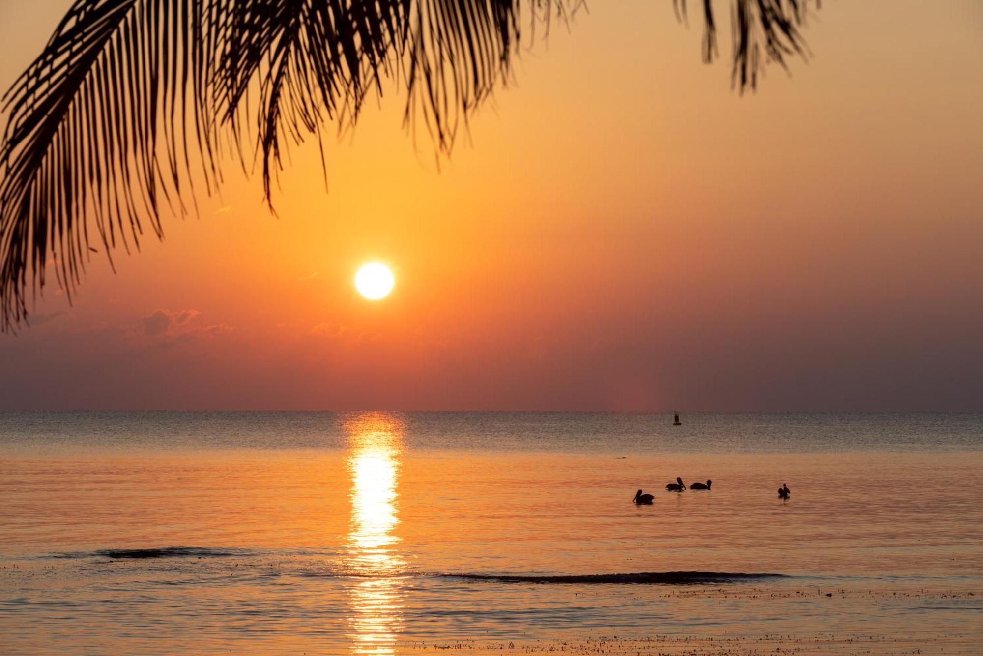 Blue Marlin Beach Resort Dangriga Zewnętrze zdjęcie