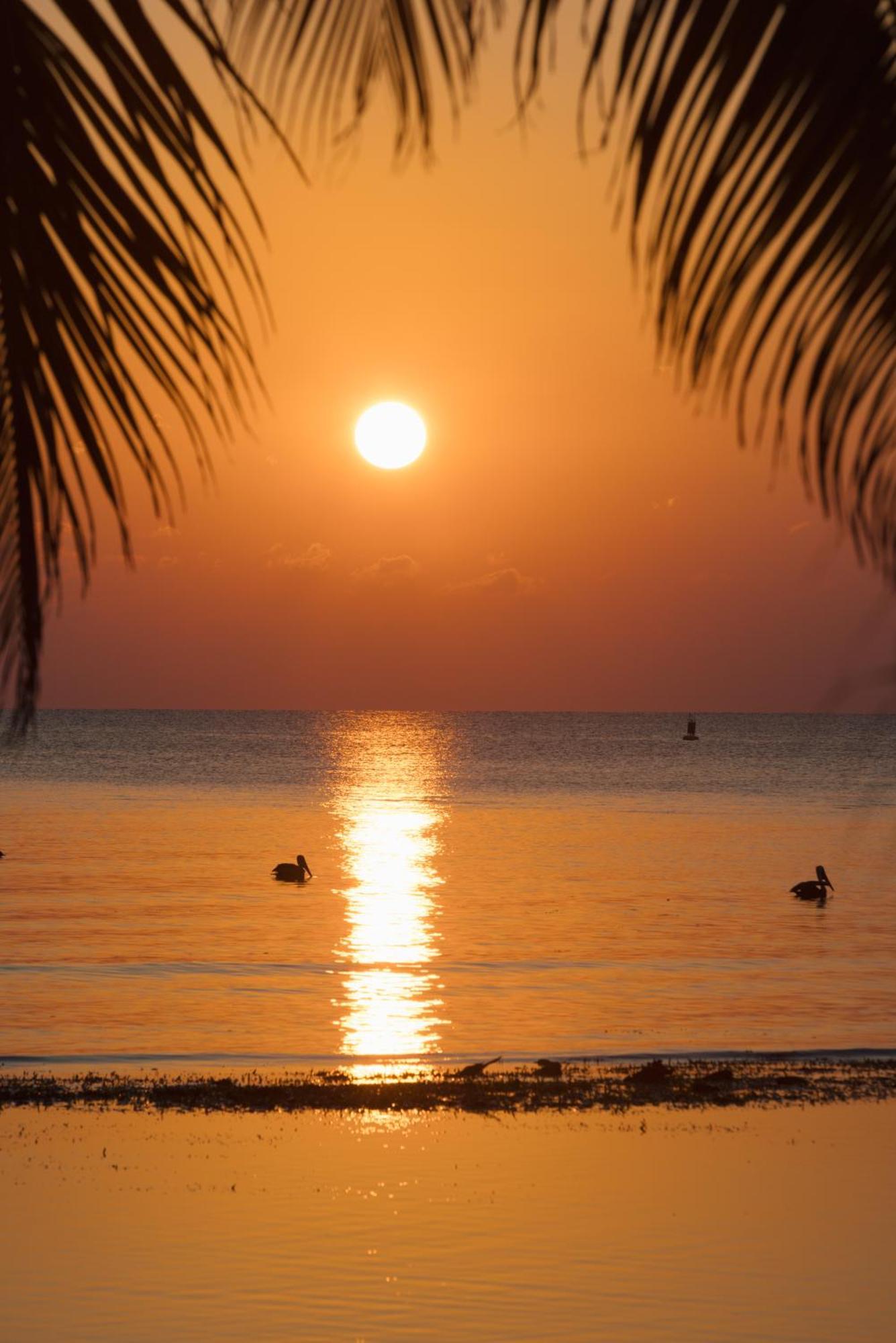 Blue Marlin Beach Resort Dangriga Zewnętrze zdjęcie