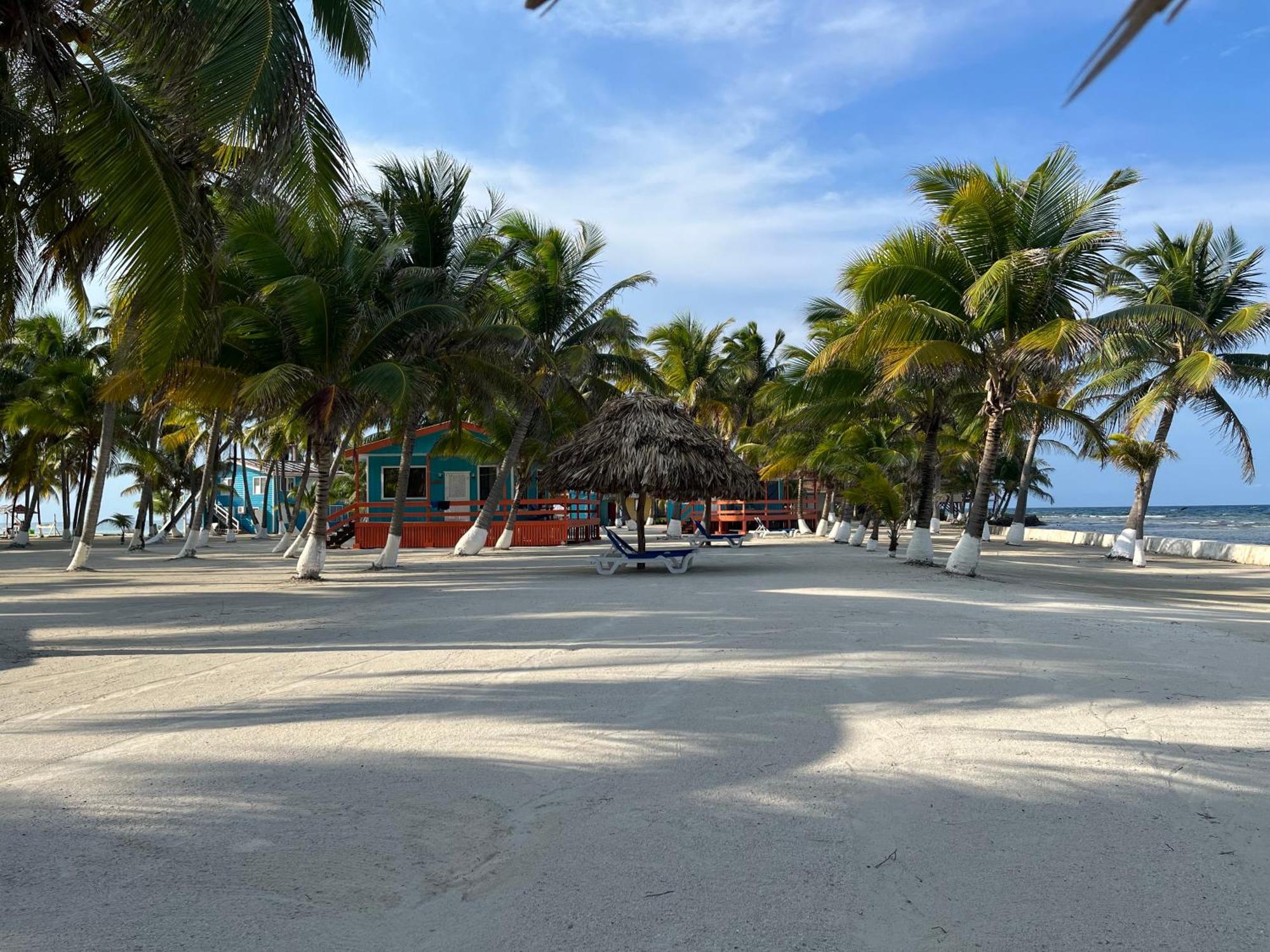 Blue Marlin Beach Resort Dangriga Zewnętrze zdjęcie