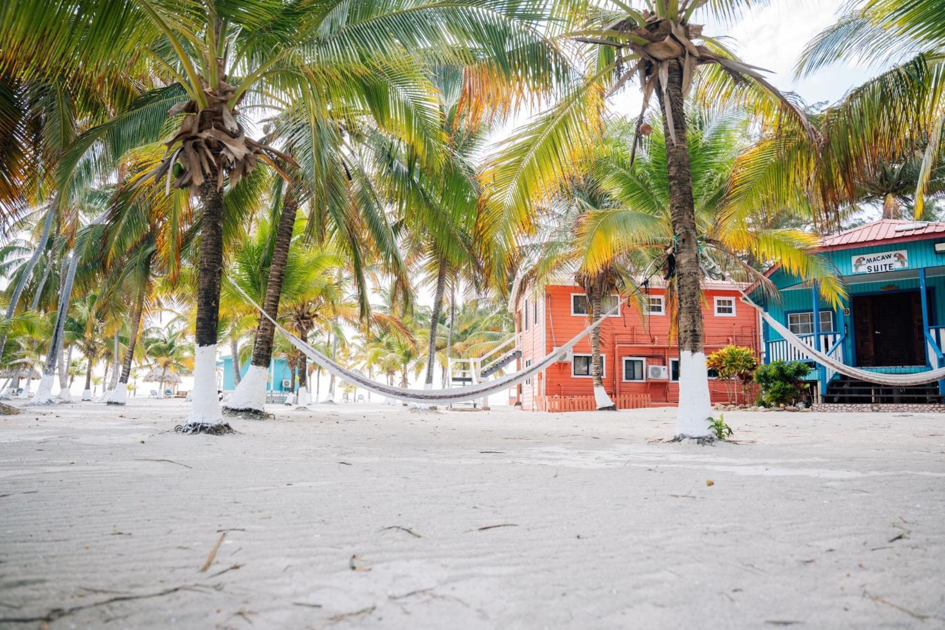 Blue Marlin Beach Resort Dangriga Zewnętrze zdjęcie