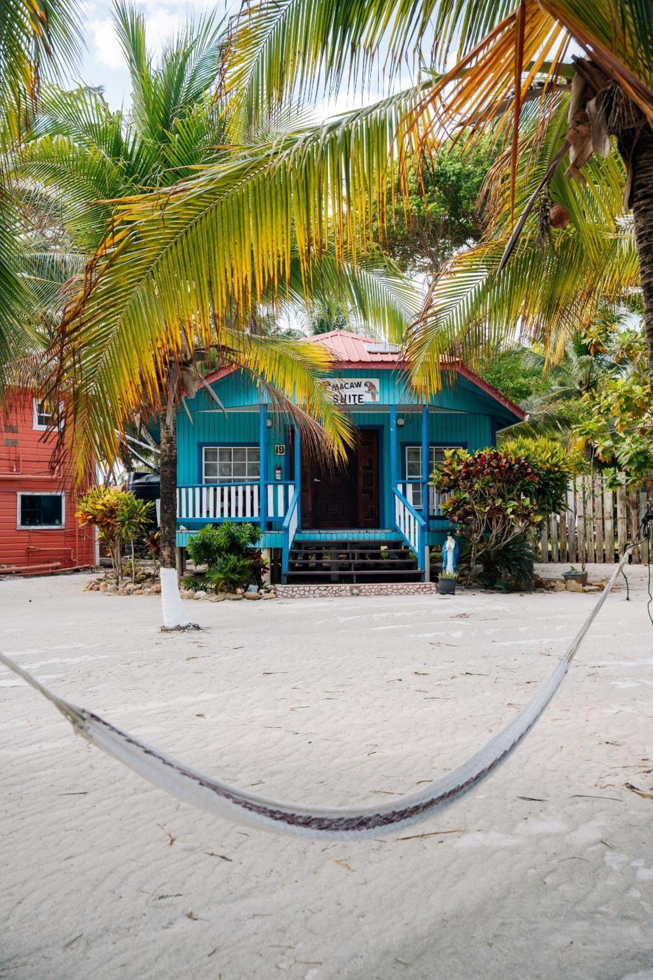 Blue Marlin Beach Resort Dangriga Zewnętrze zdjęcie